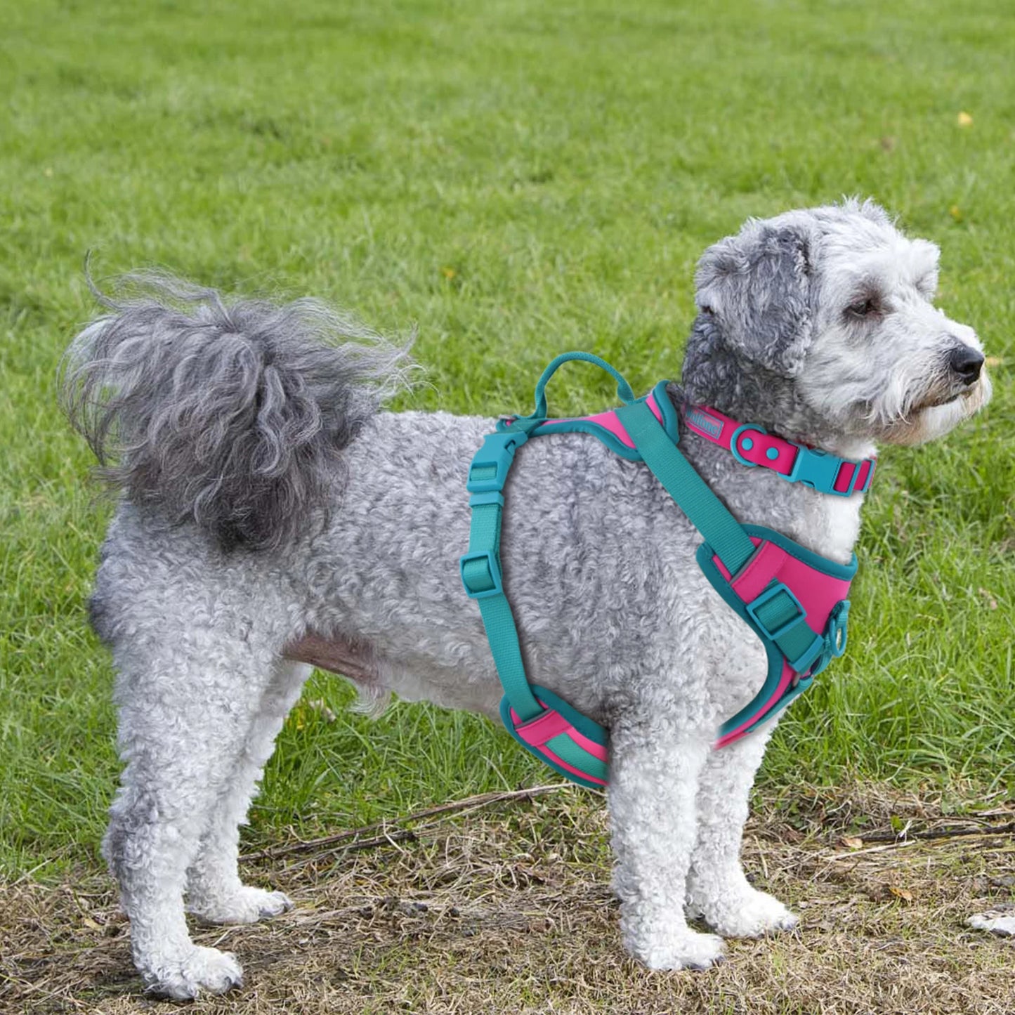 Breathe Fit No-Pull  Dog Harness!!