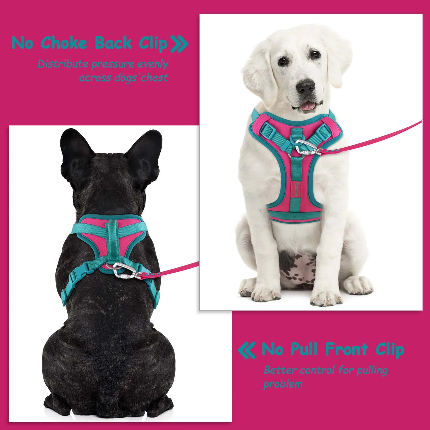 Breathe Fit No-Pull  Dog Harness!!