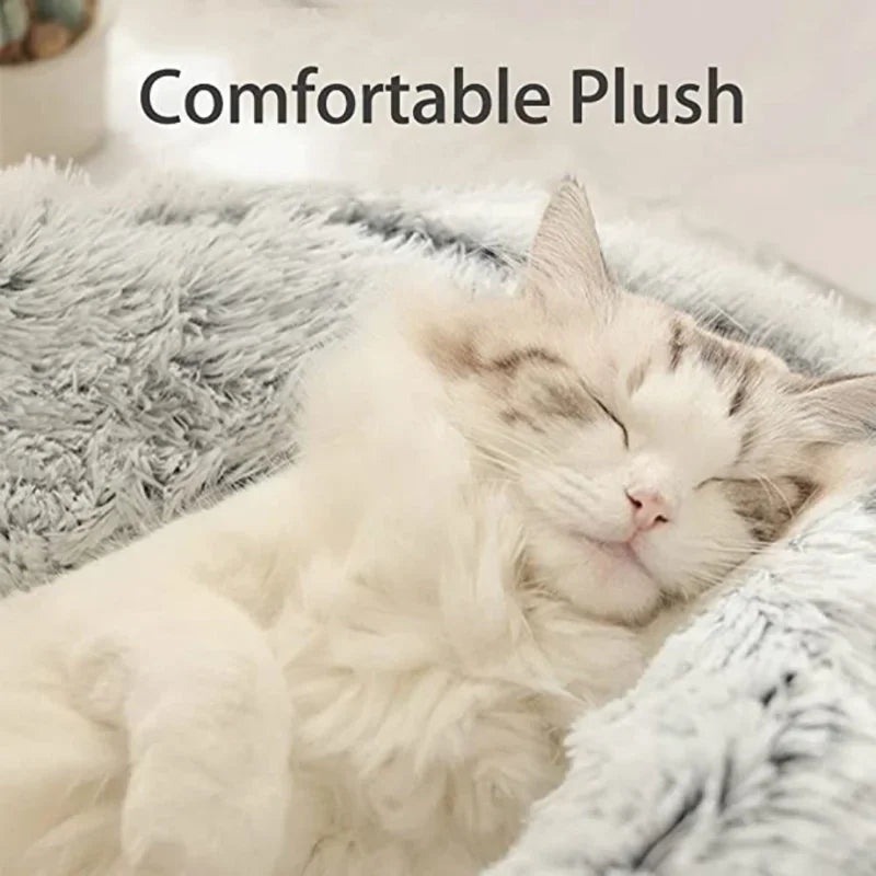 Snuggle Nest Cat Bed For Comfortable  Nights