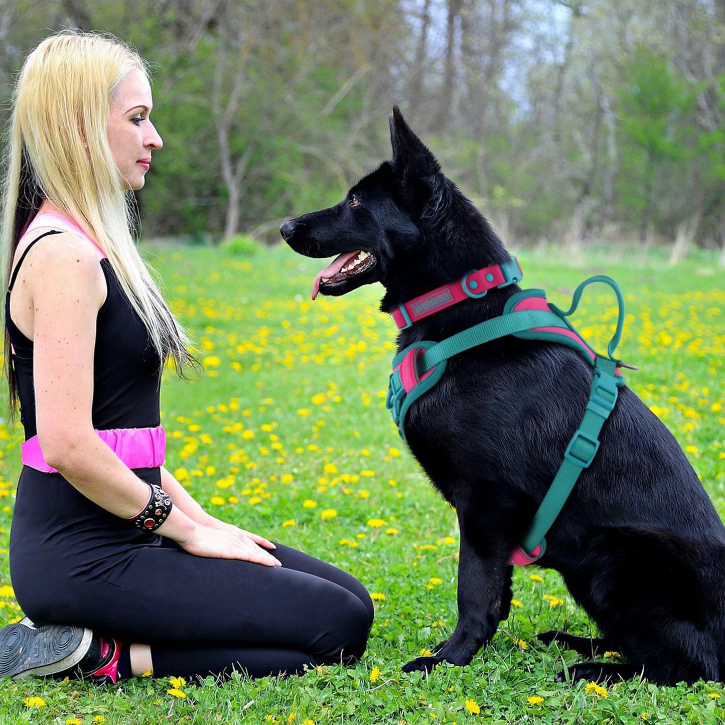 Breathe Fit No-Pull  Dog Harness!!