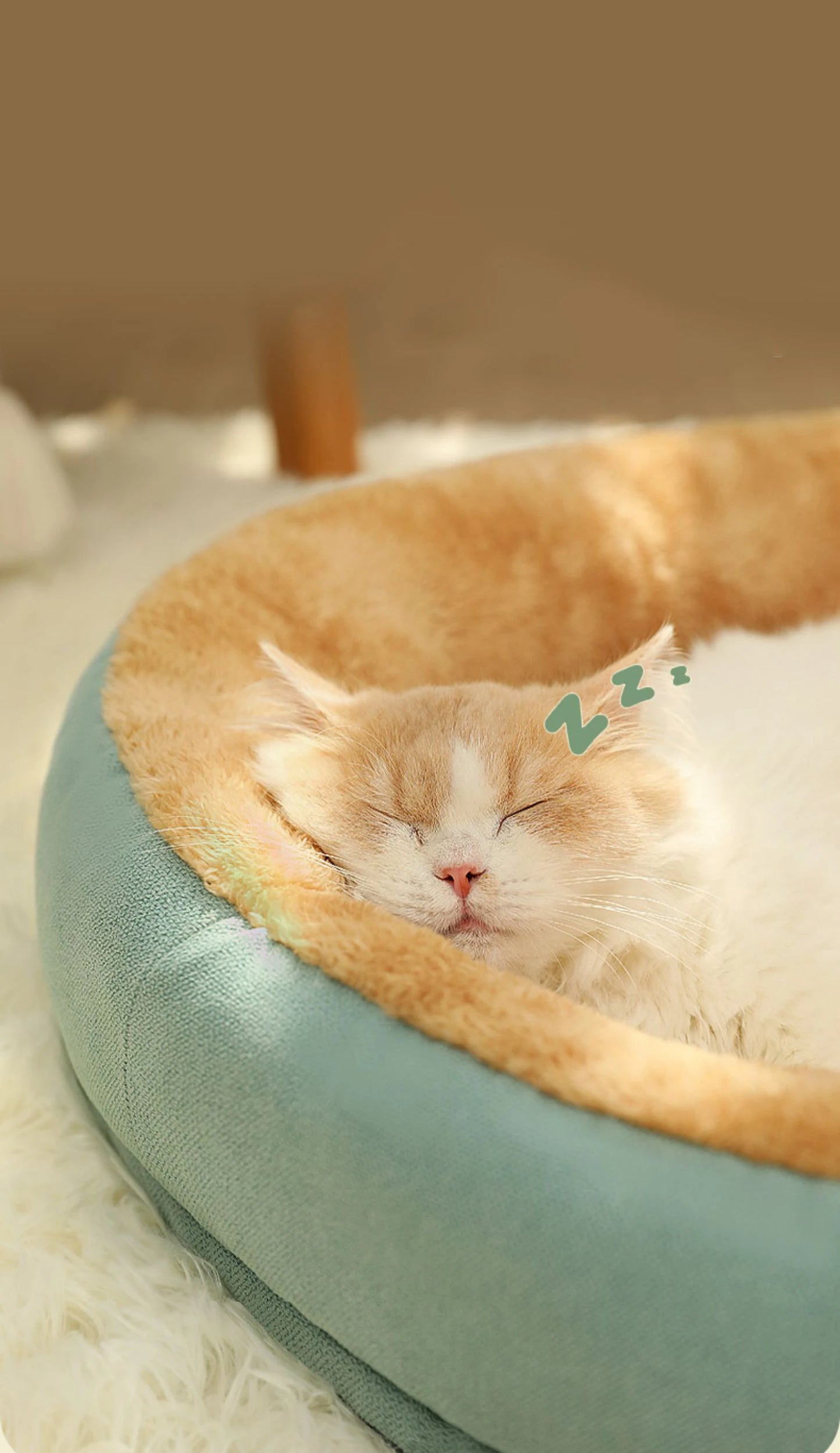 Cozy Cushion Pet Bed for All Pets