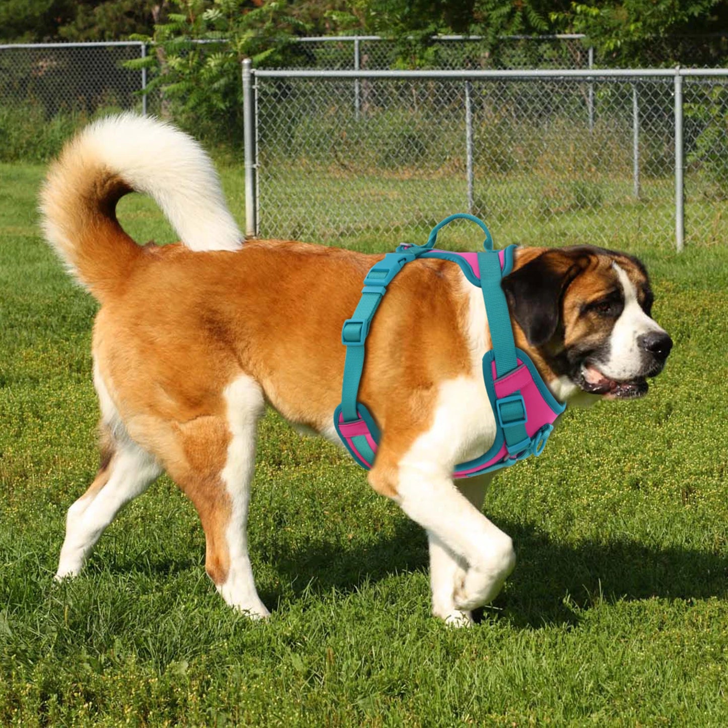 Breathe Fit No-Pull  Dog Harness!!