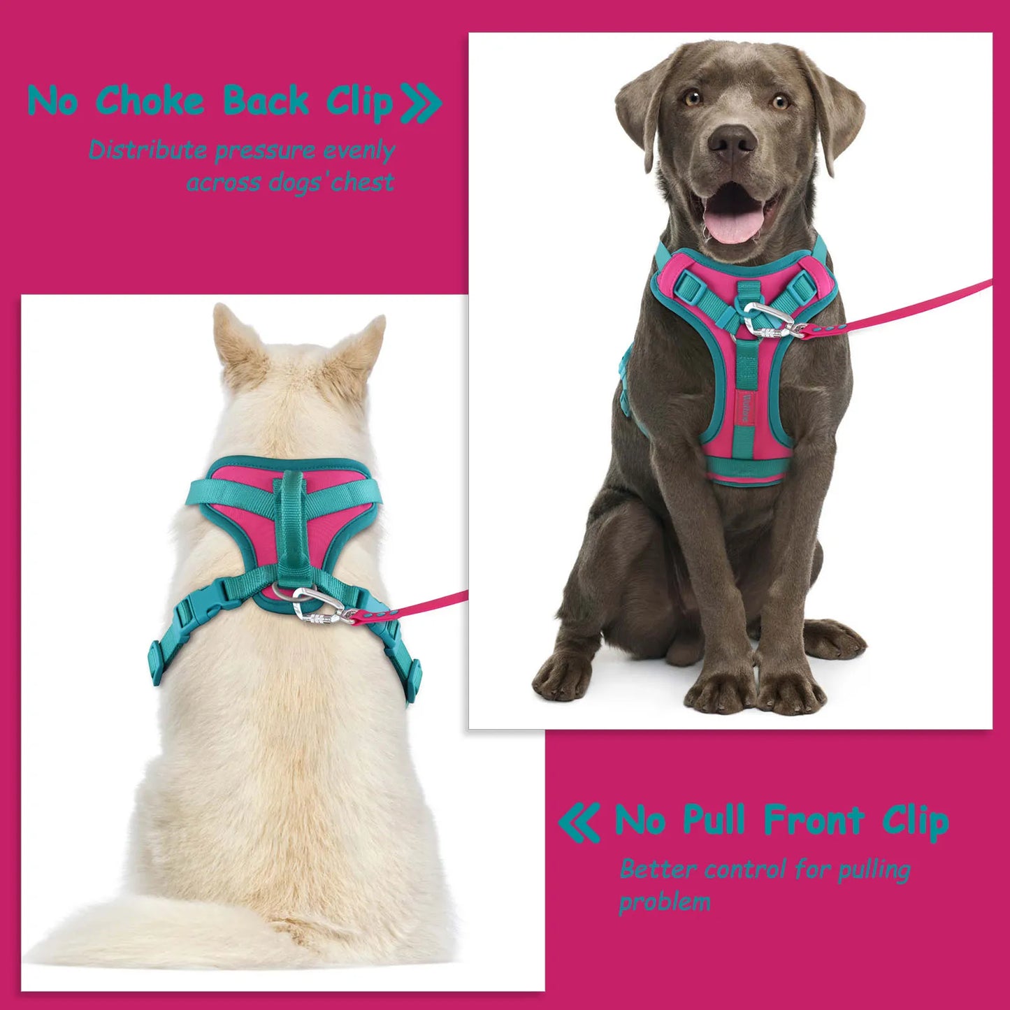 Breathe Fit No-Pull  Dog Harness!!