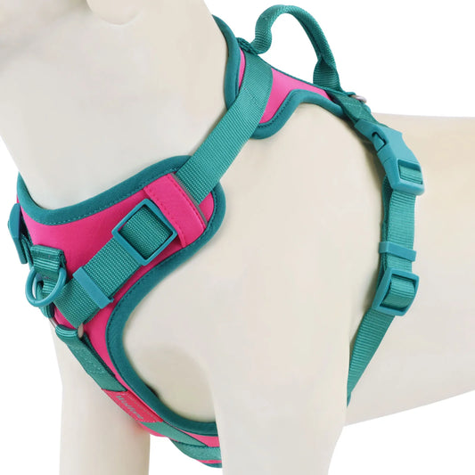 Breathe Fit No-Pull  Dog Harness!!